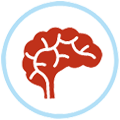 Side effect; Posterior Reversible Encephalopathy Syndrome (PRES) icon