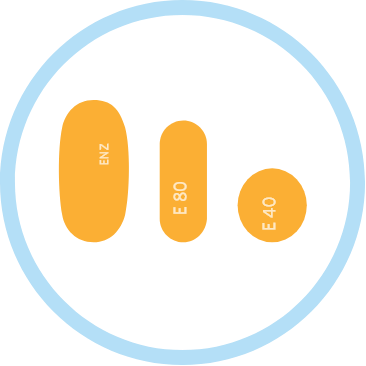 How to take; swallow XTANDI® (enzalutamide) capsules whole icon